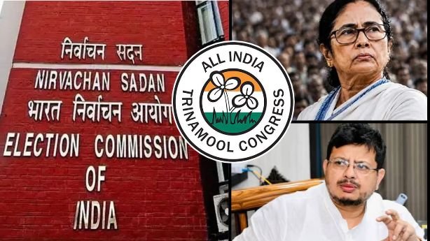 EC Freezes TMC’s ‘Flowers & Grass’ Symbol Amid Split